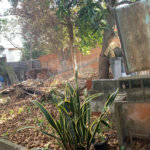 Terreno à venda com 2 quartos em Tucuruvi, São Paulo, SP