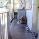 Sobrado à venda com 4 quartos em Vila Nova Mazzei, São Paulo, SP