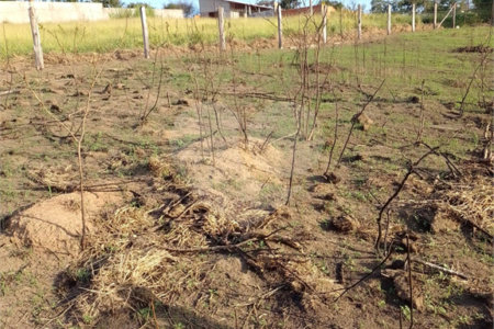 Terreno à venda em Jardim Aracy, Mogi das Cruzes, SP