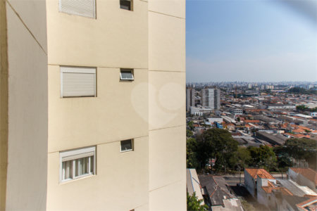 Apartamento à venda com 3 quartos, sendo 1 suíte, em Vila Maria Alta, São Paulo, SP