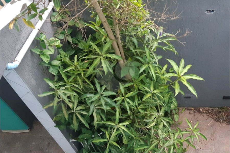 Casa à venda com 4 quartos, sendo 1 suíte, em Horto, São Paulo, SP