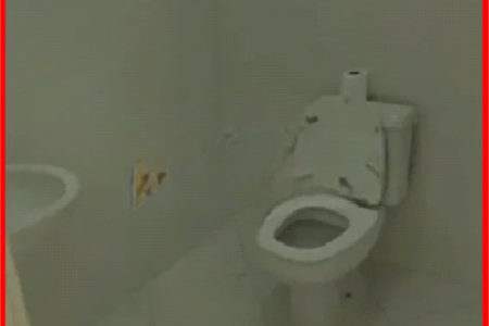 Sobrado para alugar com 1 quarto em Bela Aliança, São Paulo, SP