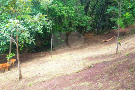 Sítio à venda no Centro, Monte Sião, MG