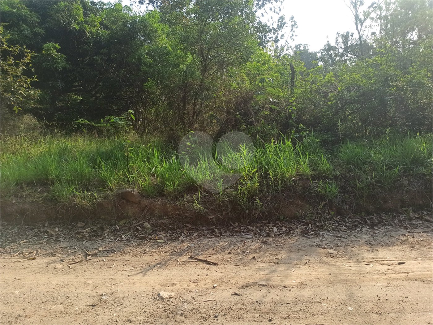 Terreno à venda em Bosque dos Eucalíptos, Atibaia, SP