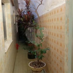 Casa no Jardim Vila Formosa com 150m²