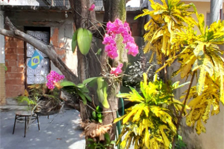 Casa à venda com 3 quartos em Campo Grande, Rio de Janeiro, RJ