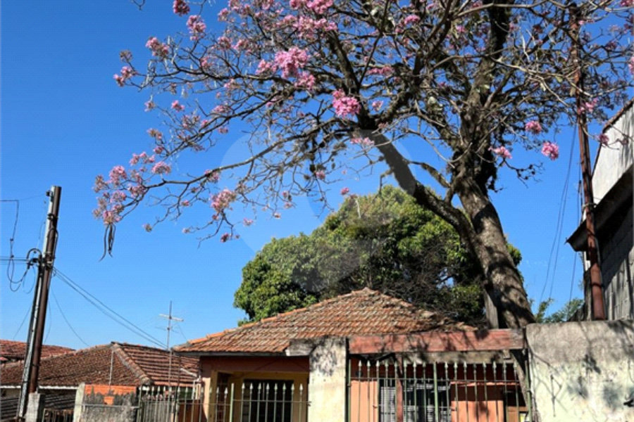 Terreno à venda com 1 quarto no Brasilândia, São Paulo, SP