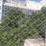 Cobertura à venda com 3 quartos, sendo 1 suíte,  em Tijuca, Rio de Janeiro, RJ