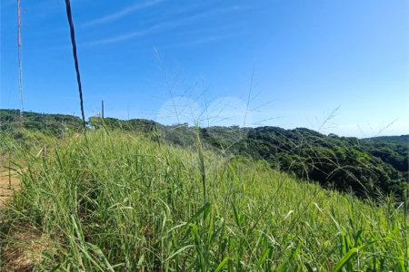 Terreno à venda em Tartaruga, Armação dos Búzios, RJ