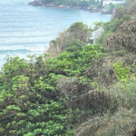 Apartamento Residencial à venda, Barra Funda, Guarujá - AP0311.