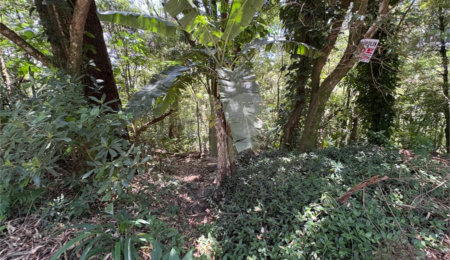 Terreno à venda em Serra da Cantareira, Mairiporã, SP