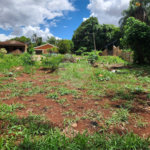 Terreno à venda em Jardim do Carmo, Araraquara, SP