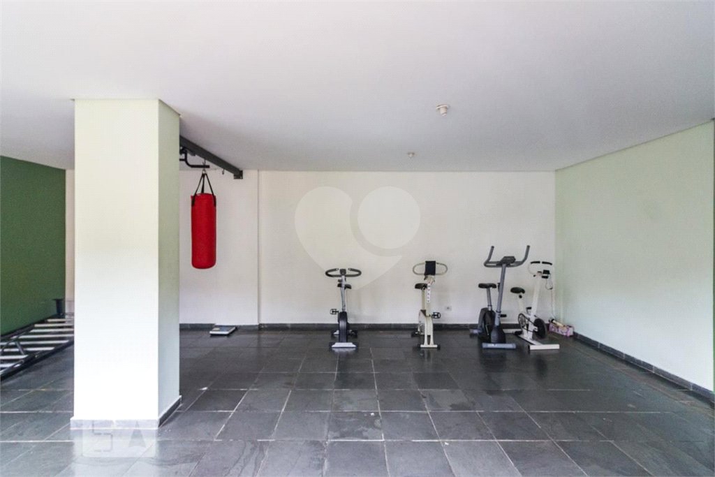 Apartamento à venda com 3 quartos, sendo 1 suíte, em Vila Nova Cachoeirinha, São Paulo, SP