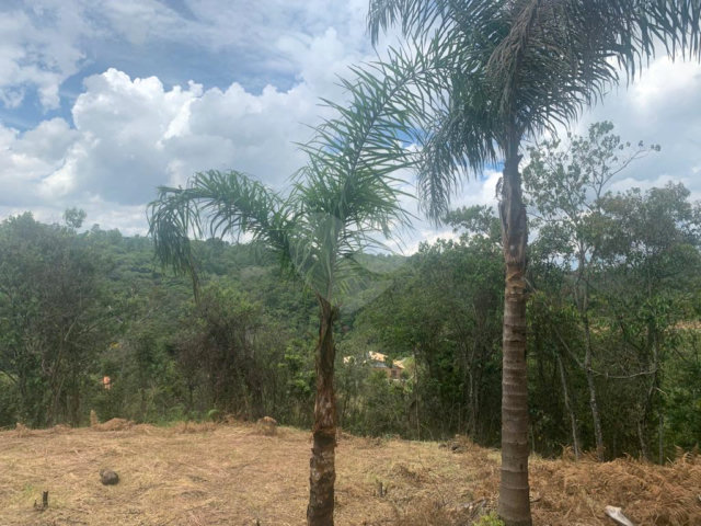 Terreno à venda em Serra da Cantareira, Mairiporã, SP