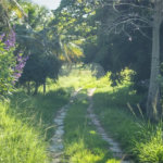 Área de Terra à venda com 1 suíte em Campo Grande, Rio de Janeiro, RJ