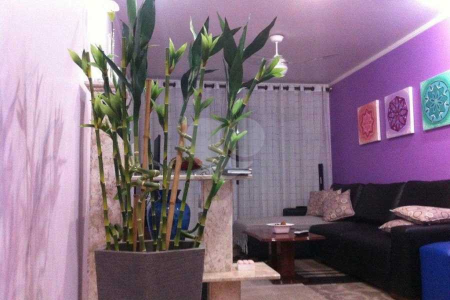 Sobrado à venda com 3 quartos, sendo 1 suíte, em Vila Guilherme, São Paulo, SP