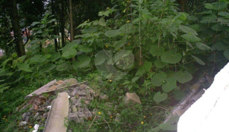 Terreno à venda em Morumbi, São Paulo, SP