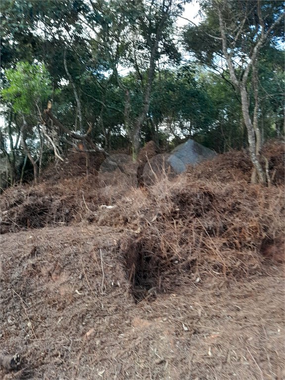 Terreno à venda no condomínio Itaguaçu da Cantareira, São Paulo - SP