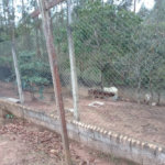 Casa à venda com 4 suítes no condomínio Alpes de Mairiporã, Mairiporã - SP