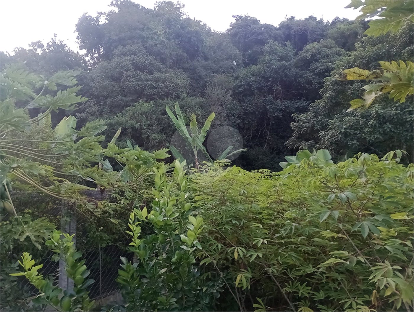 Chácara à venda com 5 quartos, sendo 1 suíte, em Jardim Marabá, Itapetininga, SP