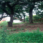 Terreno à venda em Tremembé, São Paulo, SP
