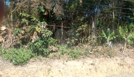 Terreno à venda em Serra da Cantareira, Mairiporã, SP