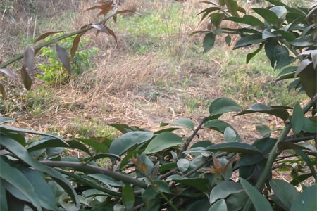 Terreno à venda em Jardim São João (zona Norte), São Paulo, SP