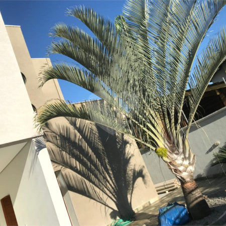 Casa à venda com 5 quartos, sendo 3 suítes, em Loteamento Jardim Morumbi, Atibaia, SP