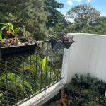Apartamento à venda com 3 quartos em Vila Suzana, São Paulo, SP