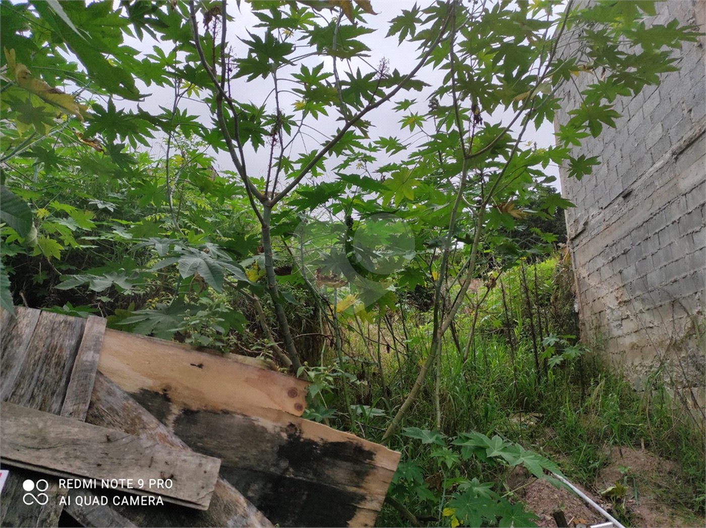 Terreno à venda em Chora Menino, São Paulo, SP