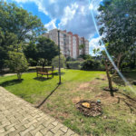 Apartamento para alugar com 2 quartos, sendo 1 suíte, em Vila Polopoli, São Paulo, SP