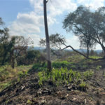 Terreno à venda em Mato Dentro, Mairiporã, SP