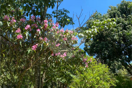 Chácara à venda com 3 quartos, sendo 1 suíte,  em Micai, Salto, SP