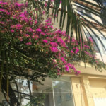 Casa à venda com 5 quartos, sendo 4 suítes, no condomínio Jardim Vitória Régia, São Paulo - SP