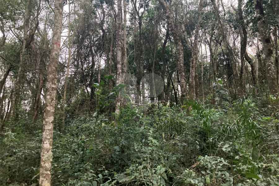 Terreno à venda no condomínio Alpes da Cantareira, Mairiporã - SP
