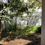 Casa à venda com 4 quartos em Vila Clementino, São Paulo, SP