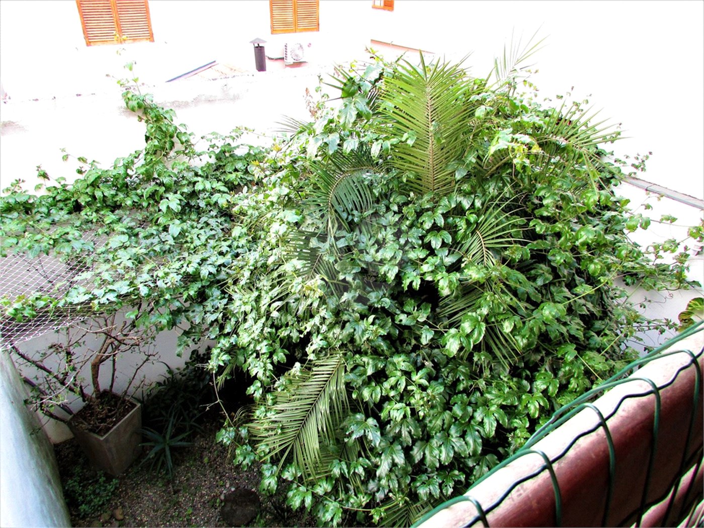 Casa à venda com 3 suítes no condomínio City Recanto Anastácio - Sacra, São Paulo - SP
