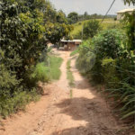 Chácara à venda com 4 quartos, sendo 1 suíte, em Vista Alegre, Vinhedo, SP