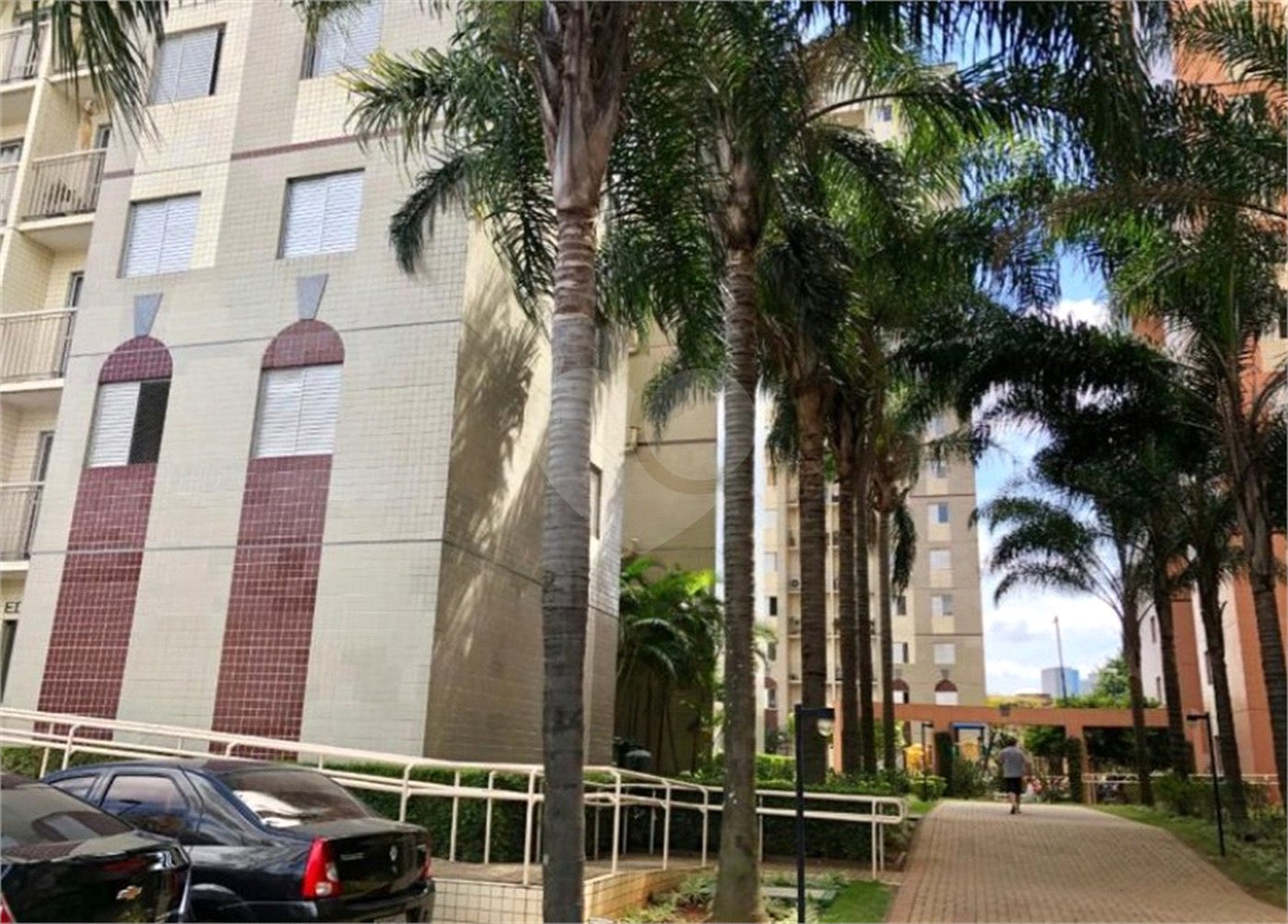 Apartamento à venda com 3 quartos, sendo 1 suíte, em Cambuci, São Paulo, SP