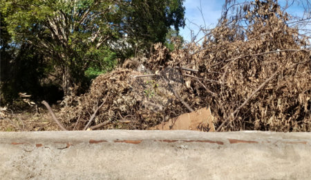 Terreno à venda em Vila Prado, São Carlos, SP