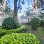 Apartamento à venda com 3 quartos em Saúde, São Paulo, SP