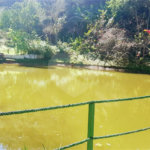Casa à venda com 5 quartos, sendo 1 suíte,  em Taboão, Mogi das Cruzes, SP