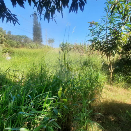 Terreno à venda em Nova Cristalina, Itupeva, SP