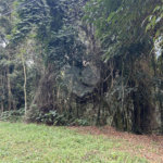 Terreno à venda no condomínio Alpes da Cantareira, Mairiporã - SP