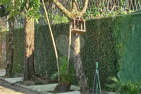 Terreno à venda em Vila Tramontano, São Paulo, SP