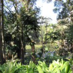 Terreno à venda no condomínio Chácara Flora, São Paulo - SP
