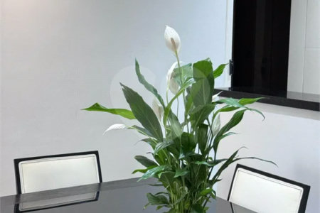 O Seu Apartamento Exclusivo: 74 m² Reformados ao Lado do Ibirapuera!