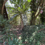 Terreno à venda em Serra da Cantareira, Mairiporã, SP