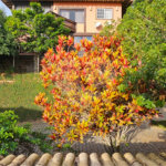Casa à venda com 4 quartos, sendo 3 suítes, em João Fernandes, Armação dos Búzios, RJ