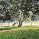 Casa à venda com 3 suítes no condomínio Chacarás Bela Vista, Mairiporã - SP